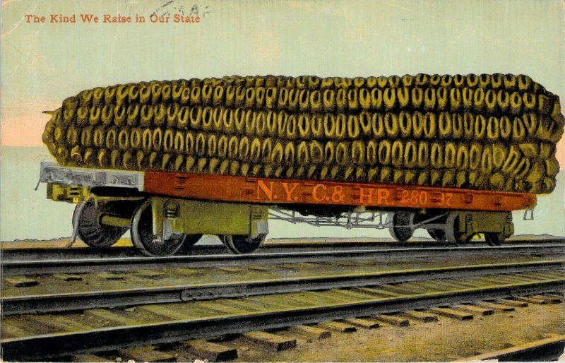 Exaggerated Corn on Rail Car Railroad Car NYC & HR New York City 1912 Div Back