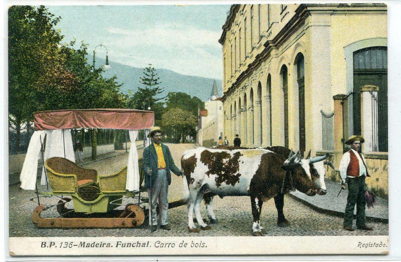 Ox Sled Cart Carro de Bois Funchal Madeira Portugal 1910c postcard