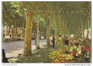 Le Marche aux Fleurs et les Allees, Flower Shop, Beziers, Herault, France