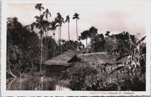 Vietnam Sud Vietnam Paysage de Campagne Vintage RPPC C109