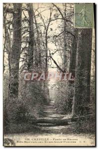Old Postcard Chaville Meudon Forest Undergrowth near the pond Colin Porcher
