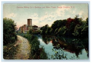 1908 Oneonta Milling Co's Buildings Water Power Supply Oneonta NY Postcard