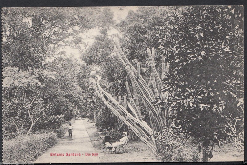 South Africa Postcard - Botanic Gardens, Durban    RS1197