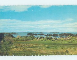 Pre-1980 NATURE Little Deer Isle by Belfast & Rockland & Bar Harbor ME AD3962