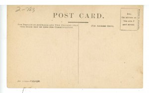 Birds - Dyceum Swallows