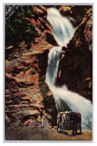 Lower Three of Seven Falls Colorado Springs Colorado CO UNP Linen Postcard W22