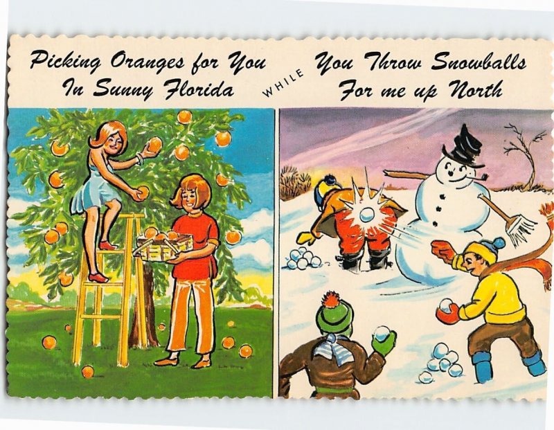 Postcard Funny Comic Card Picking Oranges in Florida While You Throw Snowballs