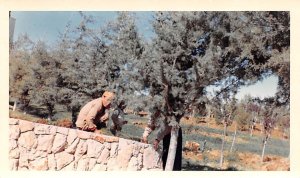 Non Postcard Backing, Dated 4-12-1966 Chtaura, Lebanon , Carte Postale writin...