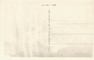 Tango ape monkey chimp Blida Algeria postcard