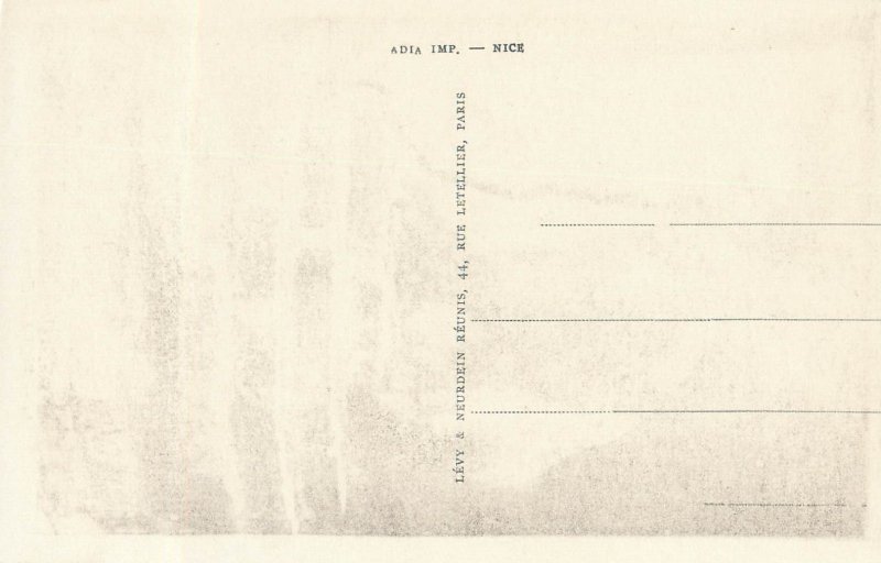 Tango ape monkey chimp Blida Algeria postcard