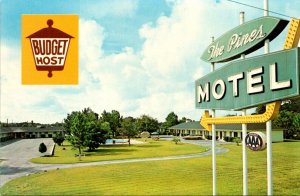 South Carolina Beaufort The Pines Motel