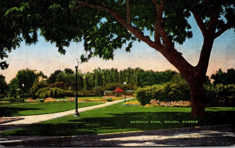 Kansas Salina Scene In Oakdale Park