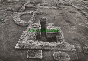 Northumberland Postcard - Corstopitum, Corbridge Roman Site RR14320