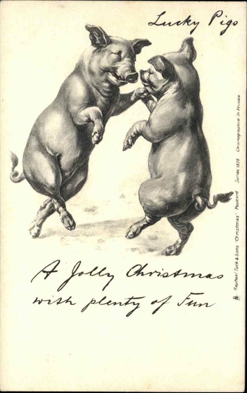 Fantasy - Christmas Dancing Pigs Early TUCK #1828 c1905 Postcard