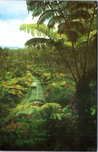 Postcard - Road Through Fern Forest, Hawaii National Park