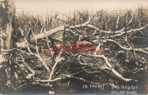 France, Chateau-Thierry, RPPC, Trees, Photo