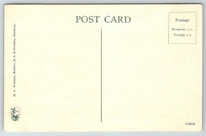 Salt Fields  Syracuse  New York  Postcard  c1910