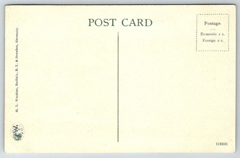 Salt Fields  Syracuse  New York  Postcard  c1910