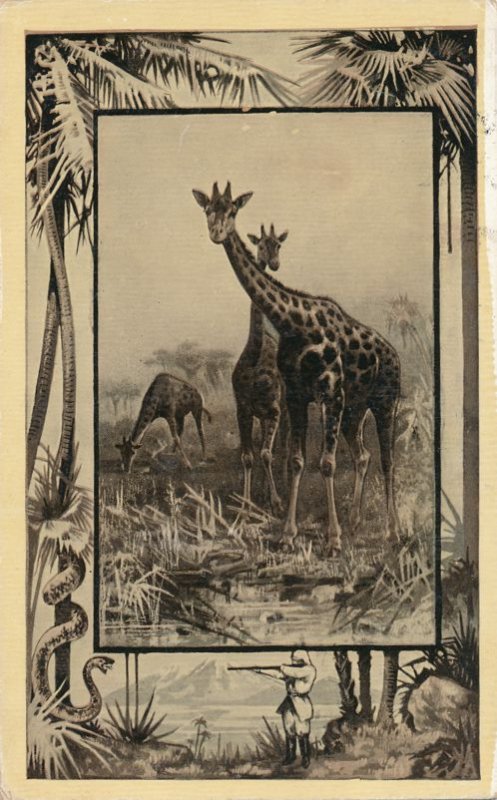 Africa Safari 1909 Series by Mintz of Chicago - Giraffe - DB