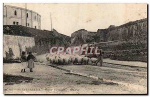 Old Postcard Fuenterrabia Spain Pastor Pirengeto