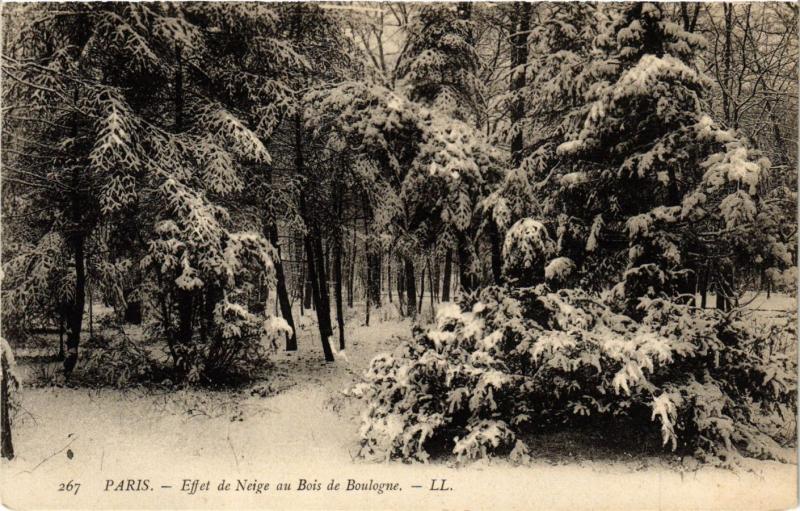 CPA PARIS 16e-Effet de Neige au Bois de Boulogne (326172)