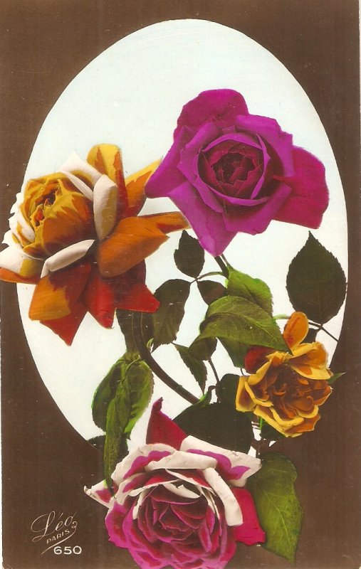 Beautiful Roses Old vintage French postcard