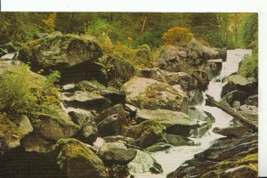 Devon Postcard - The Heart of Glen Lyn Gorge - Lynmouth - Ref 18954A