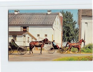 Postcard Amish boys, Greetings From The Penna. Dutch Country, Pennsylvania