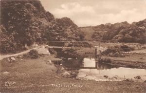 BR97667 the bridge pwlldu real photo   wales