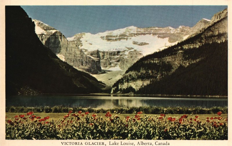 Vintage Postcard 1920's Victoria Glacier Lake Louise Alberta Canada Can. 