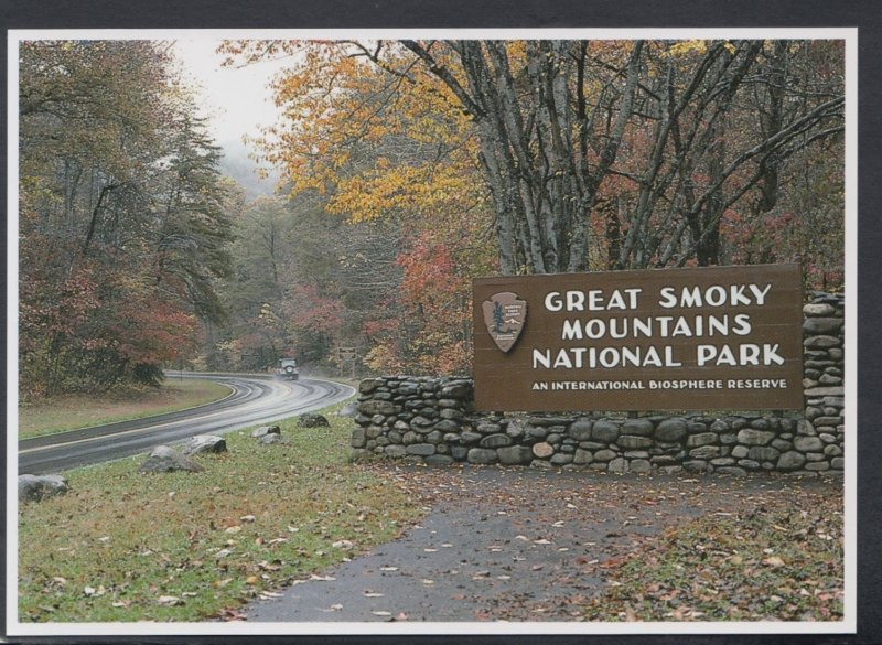 America Postcard - Great Smoky Mountains National Park DC2678