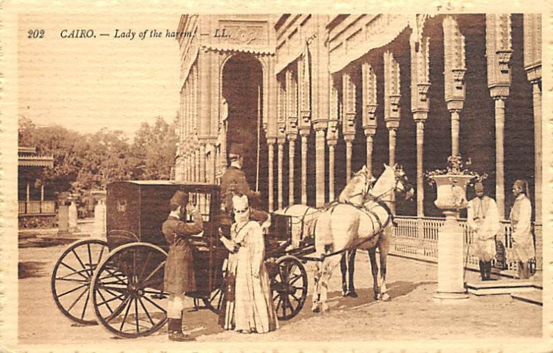 Cairo lady of the harem Stagecoach Unused 