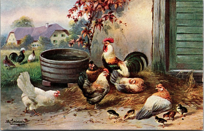 Vtg 1910 Rooster Hens Chicks Farm Scene Artist Alfred Schonian Munchen Postcard