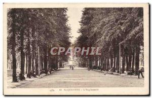 Saint Quentin - The Esplanade - Old Postcard