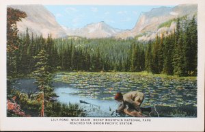 Lily Pond, Wild Basin, Rocky Mountain National Park