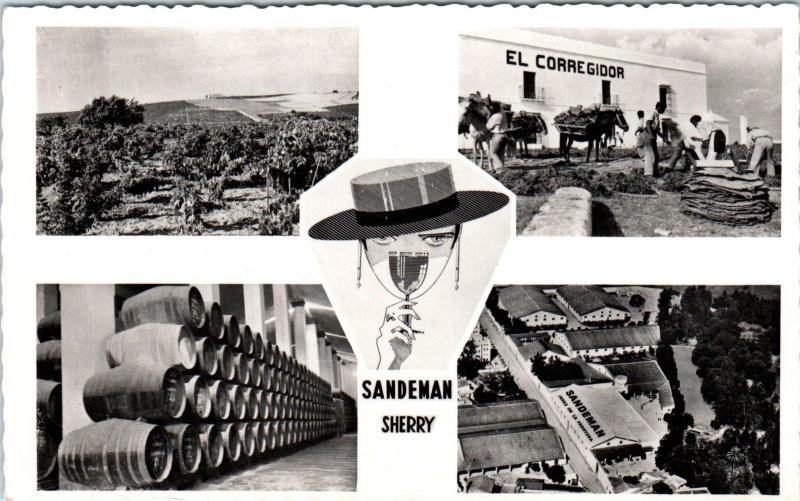 RPPC JEREZ de la FRONTERA Spain SANDEMAN VINEYARDS Multiview  c1940s    Postcard 