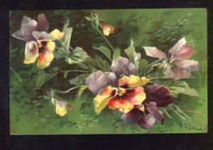 3051687 Lovely PANSY by C. KLEIN vintage COLORFUL RPPC 1915 y