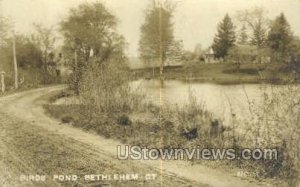 Real Photo Birds Pond - Bethlehem, Connecticut CT