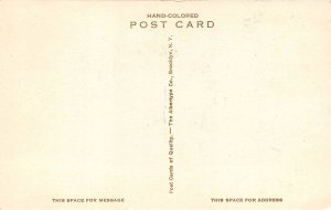 Red Bluff California 1920s Hand Colored Postcard Park 