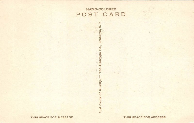 Red Bluff California 1920s Hand Colored Postcard Park 