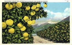 Mount San Antonio - Old Baldy, CA