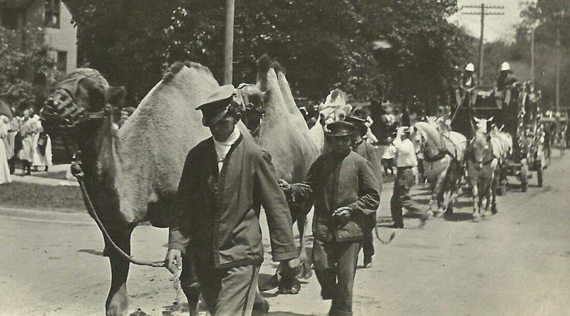 Galva ILLINOIS RPPC 1913 CIRCUS PARADE Camels Wagon Camel nr Kewanee Galesburg