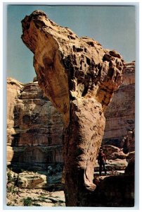 c1960's The Molar Rock, Dentist Delight Canyonlands National Park UT Postcard