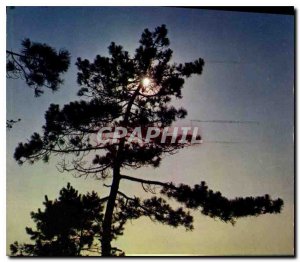 Modern Postcard Atlantic Coast exiting moon dark clouds Seems a clarity that ...