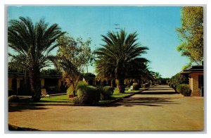 Vintage 1969 Advertising Postcard The Lost Dutchman Lodge Mesa Arizona