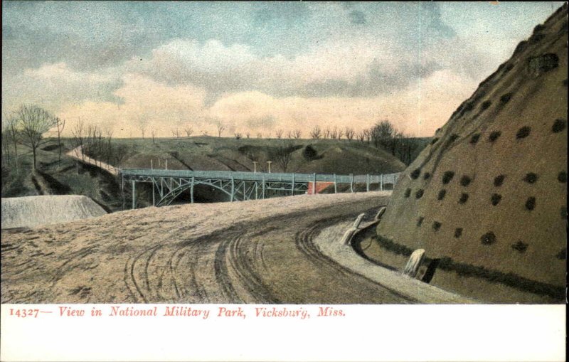 VICKSBURG MS View in National Military Park c1905 Postcard