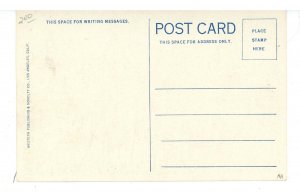 CA - Santa Monica. Pleasure Pier Amusements, Roller Coaster ca 1907