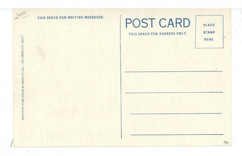 CA - Santa Monica. Pleasure Pier Amusements, Roller Coaster ca 1907