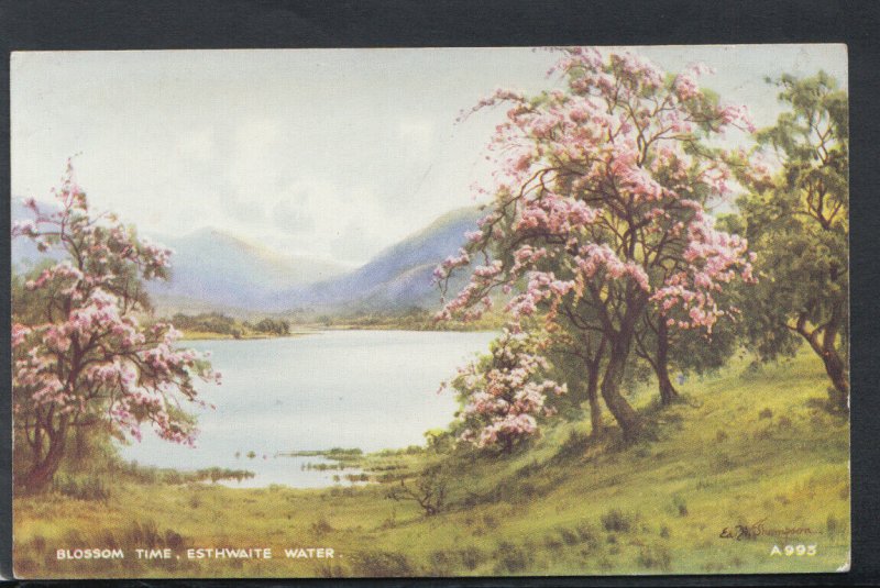 Cumbria Postcard - Blossom Time, Esthwaite Water   RS16467