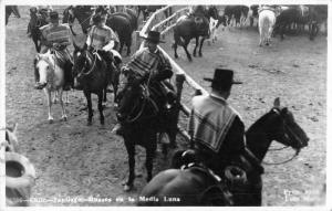 Santiago Chile Ranch Scene Horses Real Photo Antique Postcard J44278